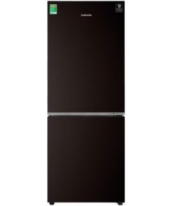 Tủ lạnh Samsung Inverter 280 Lít RB27N4010BY/SV