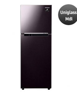 Tủ lạnh Samsung Inverter 236 Lít RT22M4032BY/SV