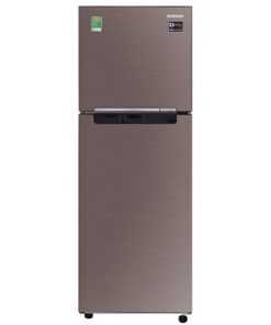 Tủ lạnh Samsung Inverter 236 Lít RT22M4040DX/SV