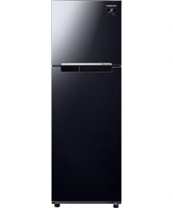 Tủ lạnh Samsung Inverter 256 Lít RT25M4032BU/SV